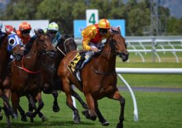 Pegasus World Cup Bets