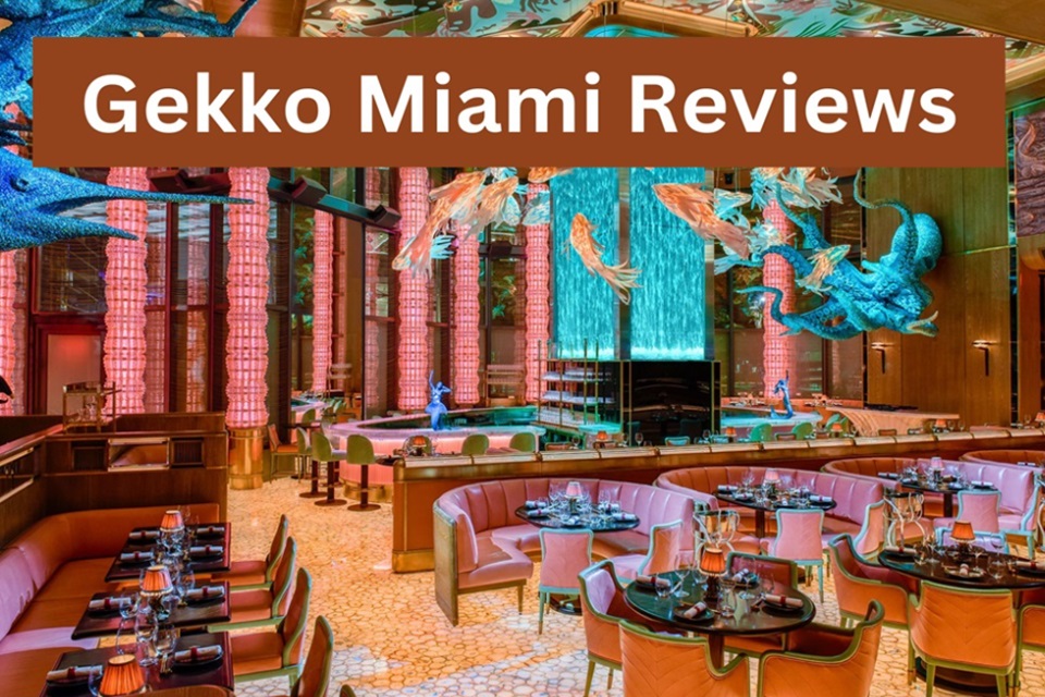 Gekko Miami Reviews: All About Gekko Miami Restaurant | Gambling Alpha