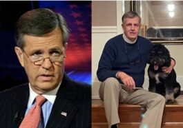 brit hume car accident