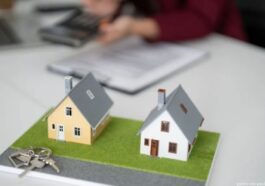 pedrovazpaulo wealth investment