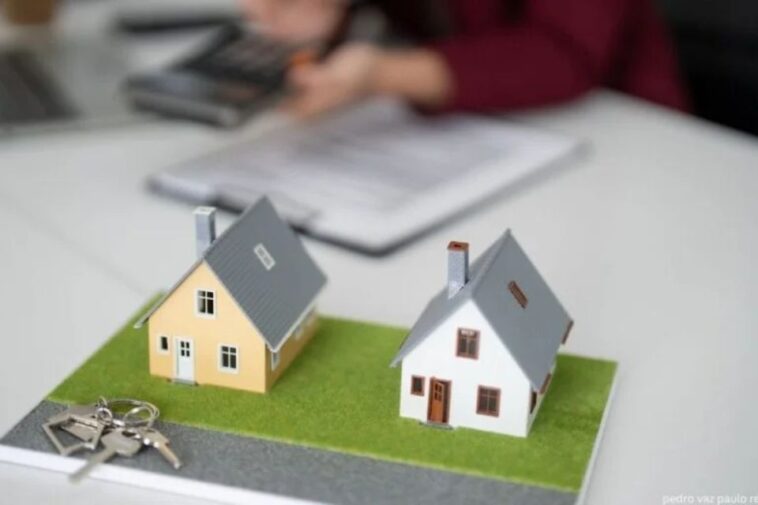 pedrovazpaulo wealth investment