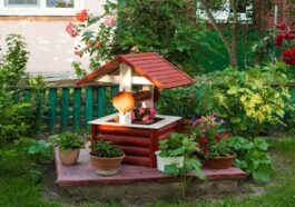 decoradhouse garden tips by decoratoradvice