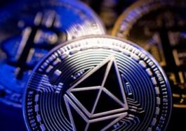 pedrovazpaulo crypto investment