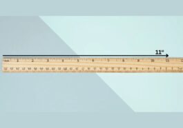 things that are 11 inches long