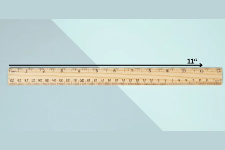 things that are 11 inches long