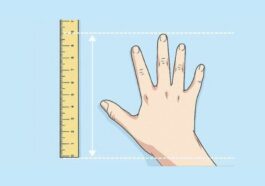 things that are 10 inches long