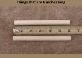 things that are 6 inches long