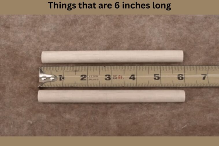 things that are 6 inches long